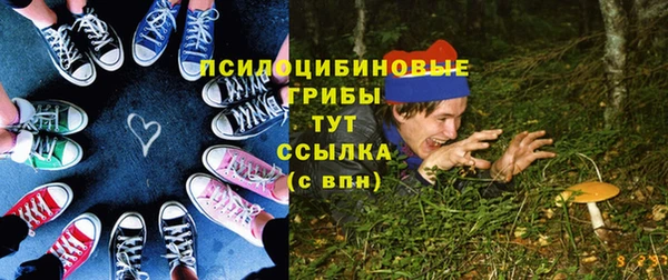молекула духа Вязьма