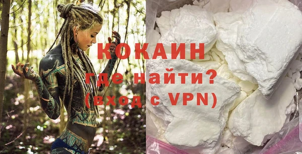 молекула духа Вязьма