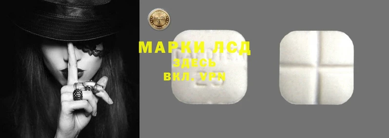 молекула духа Вязьма