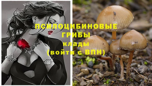 а пвп мука Волоколамск