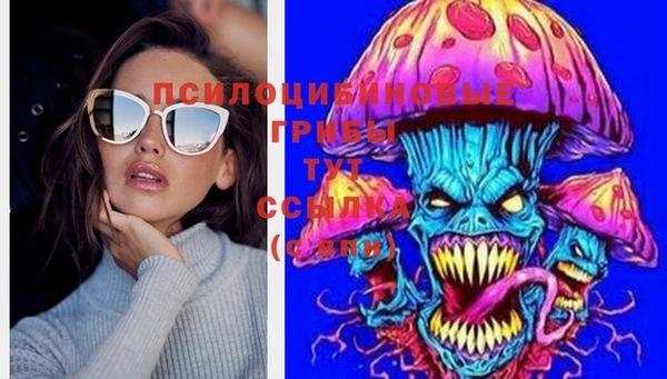 молекула духа Вязьма