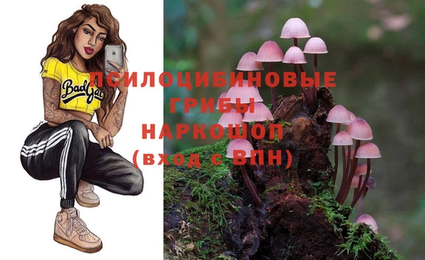 молекула духа Вязьма