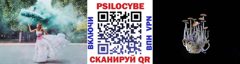 hydra вход  Сураж  Псилоцибиновые грибы Psilocybine cubensis 